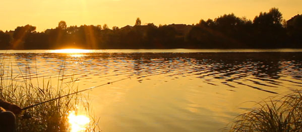 Langford Lakes Course Fishing